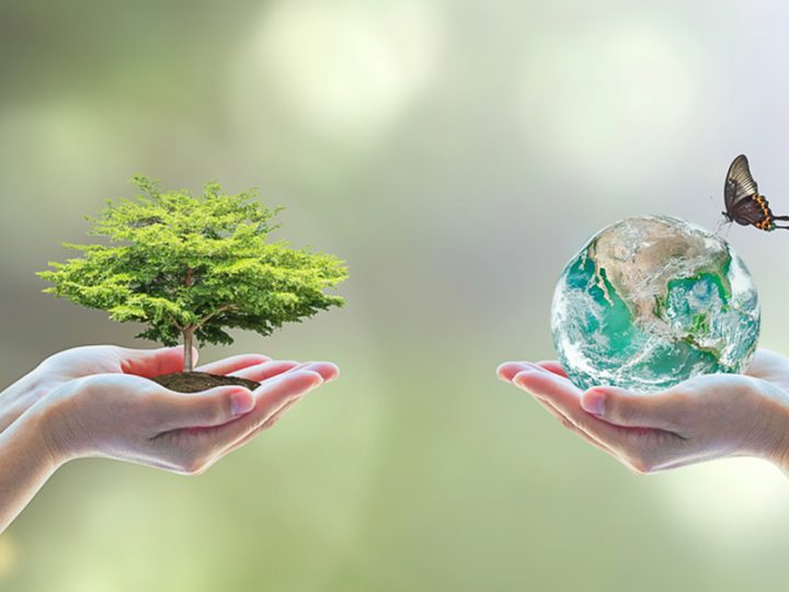 Article | Natural Resources and Biodiversity Assessment